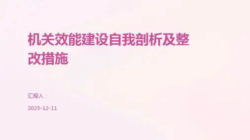 机关效能建设自我剖析及整改措施