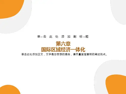 国际经济区域经济一体化