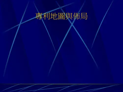 专利地图与布局