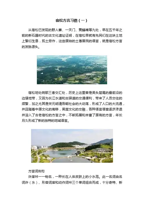 宿松方言习俗（一）