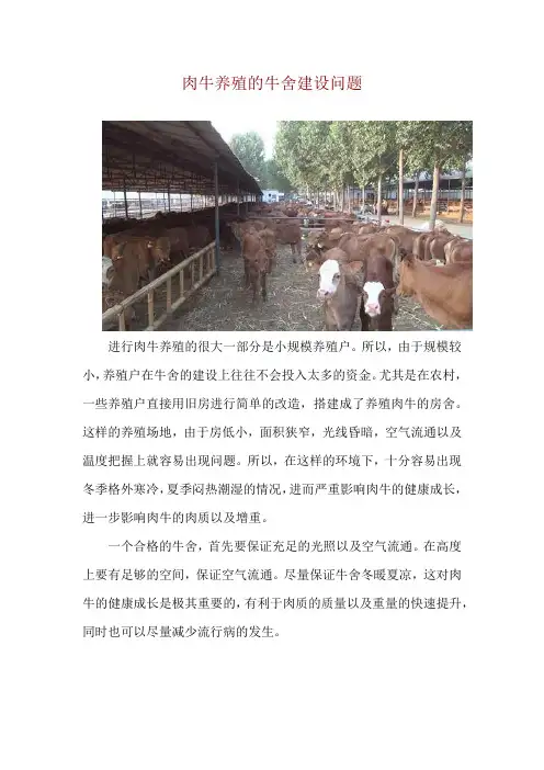 肉牛养殖的牛舍建设问题