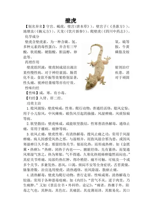壁虎