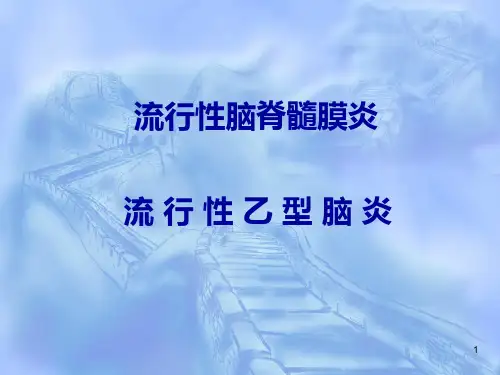医院培训流脑乙脑ppt课件