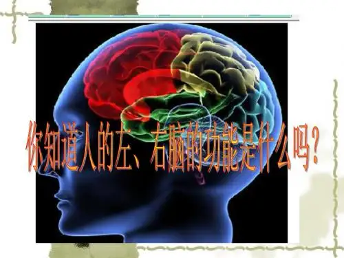 思维导图