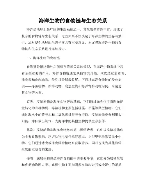 海洋生物的食物链与生态关系