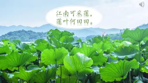 统编版一年级语文下册13荷叶圆圆课件第一课时(23张PPT)