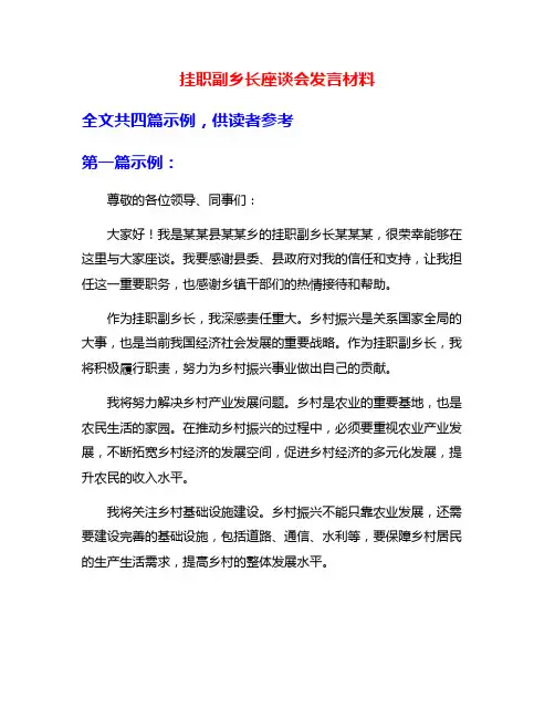 挂职副乡长座谈会发言材料