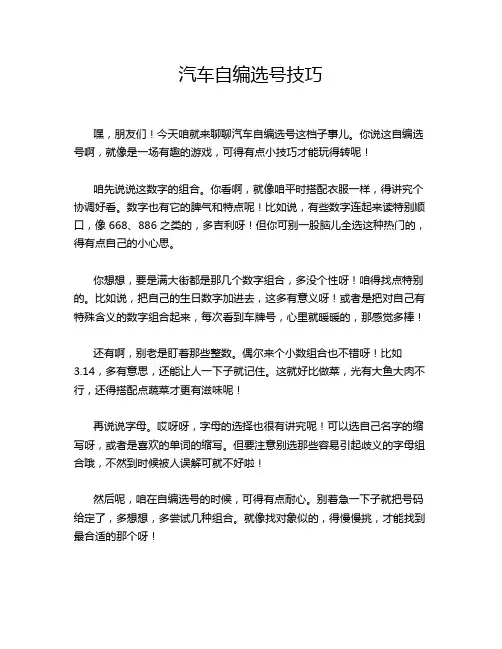 汽车自编选号技巧