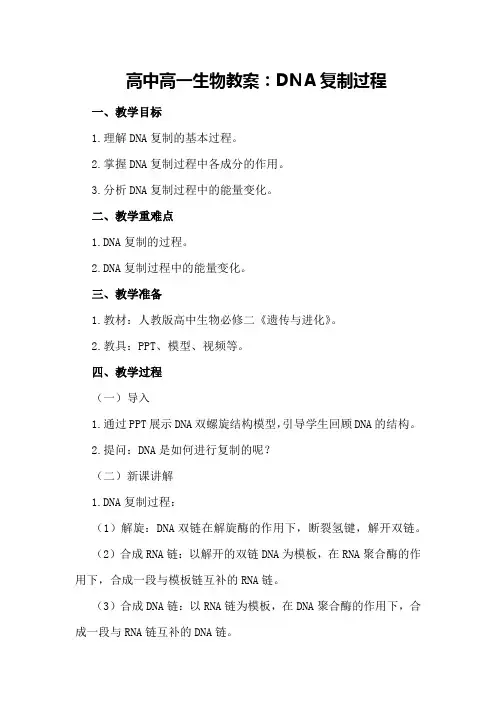 高中高一生物教案：DNA复制过程