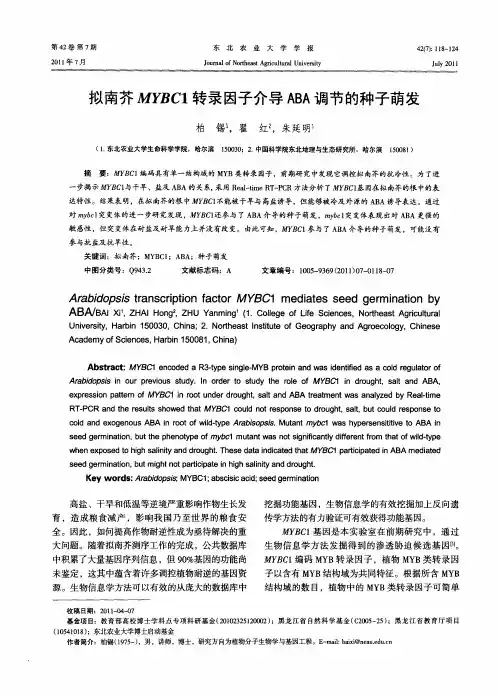 拟南芥MYBC1转录因子介导ABA调节的种子萌发