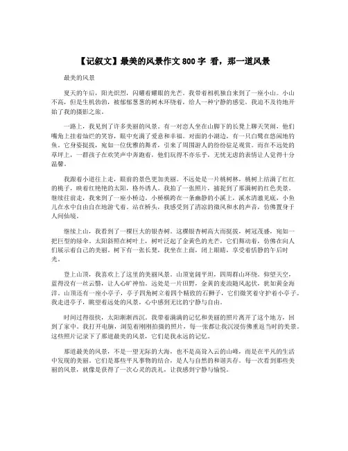 【记叙文】最美的风景作文800字 看,那一道风景