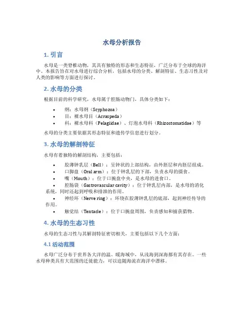 水母分析报告