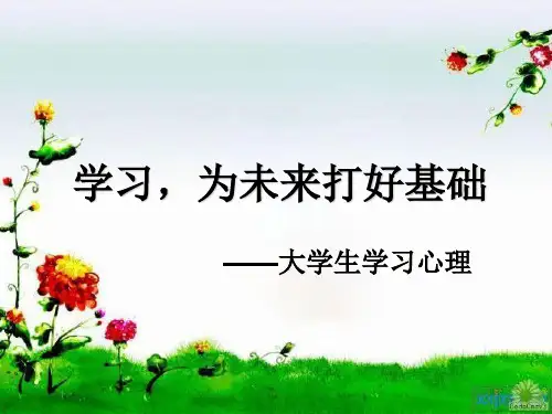 大学生心理健康教育学习心理 ppt课件