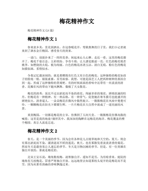 梅花精神作文