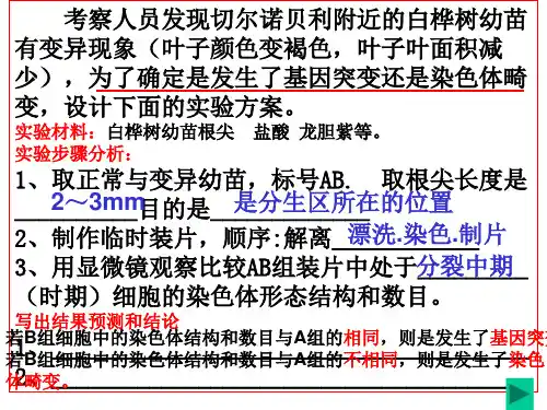 生物变异在生产上的应用
