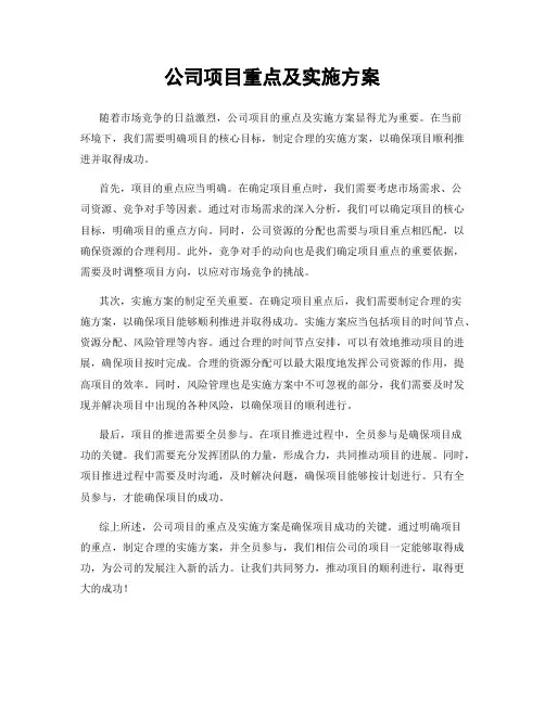 公司项目重点及实施方案