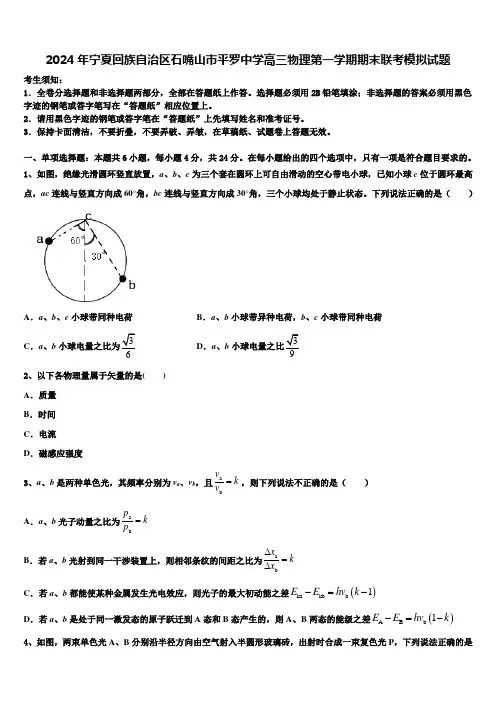 2024年宁夏回族自治区石嘴山市平罗中学高三物理第一学期期末联考模拟试题含解析
