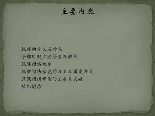 手部肌腱损伤修复与功能锻炼