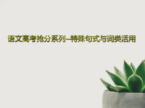 语文高考抢分系列--特殊句式与词类活用共28页