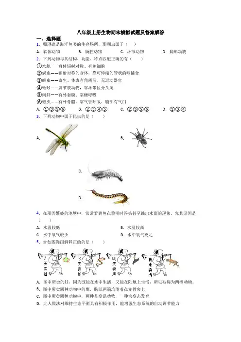 八年级上册生物期末模拟试题及答案解答