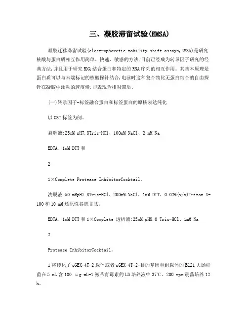 EMSA操作方法(原核表达纯化蛋白)