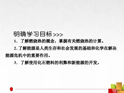 第二节燃烧热能源课件