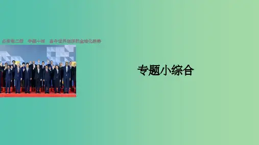 浙江版2018版高考历史总复习专题14当今世界经济的全球化趋势专题小综合课件