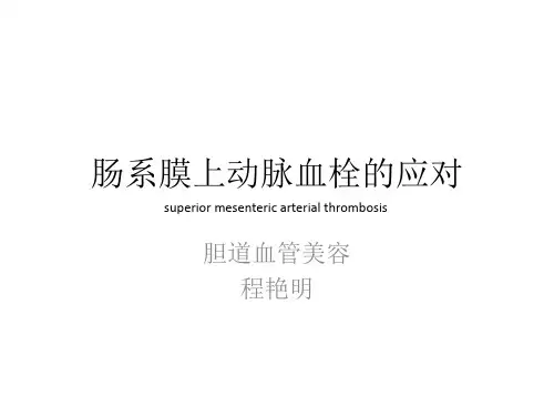 肠系膜上动脉血栓的应对