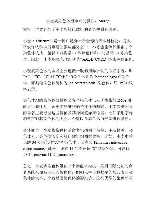 小麦族染色体组命名