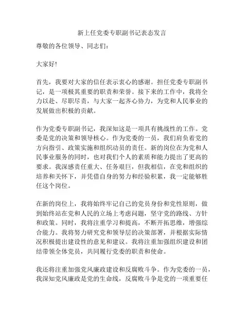新上任党委专职副书记表态发言