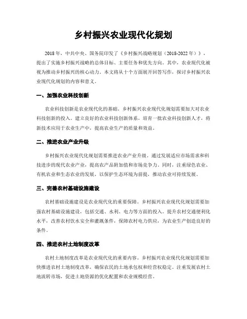 乡村振兴农业现代化规划