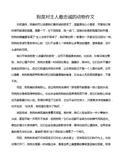 狗是对主人最忠诚的动物作文