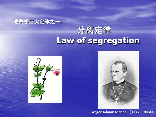分离定律课件