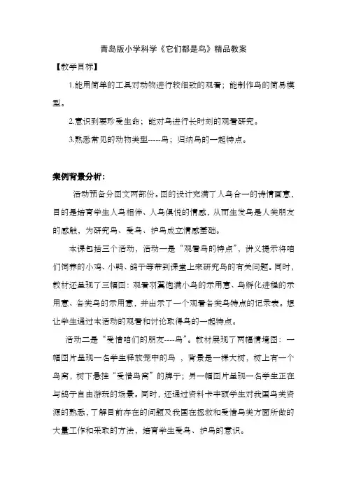 青岛版小学科学它们都是鸟精品教案
