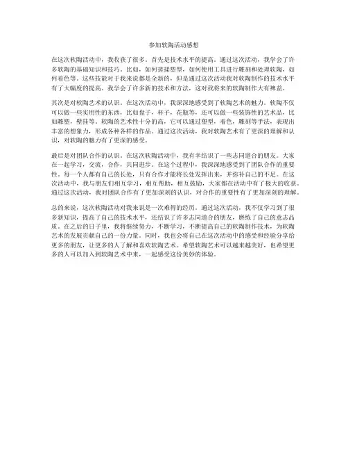 参加软陶活动感想