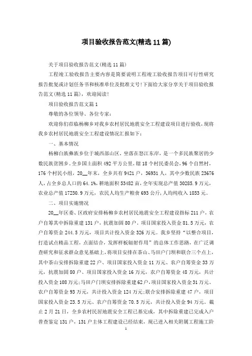 项目验收报告范文(精选11篇)