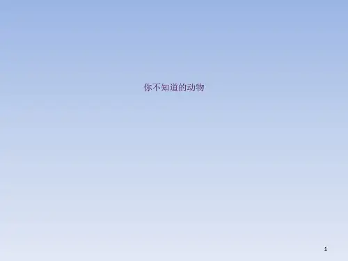 你不知道的动物ppt课件