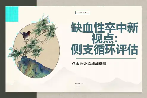 脑侧支循环评估