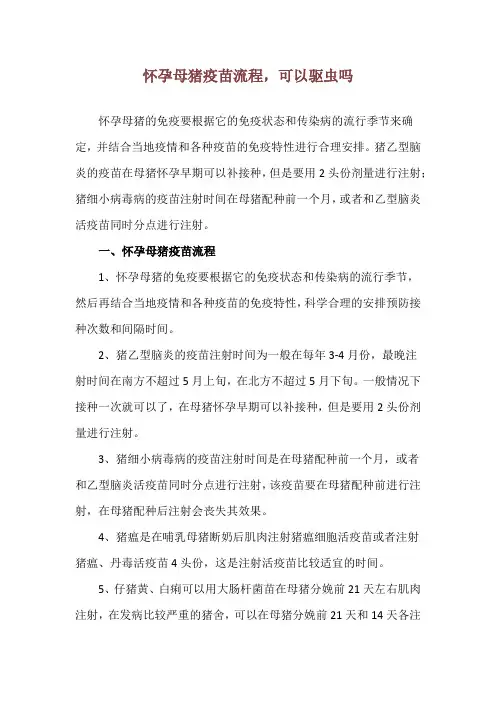 怀孕母猪疫苗流程,可以驱虫吗