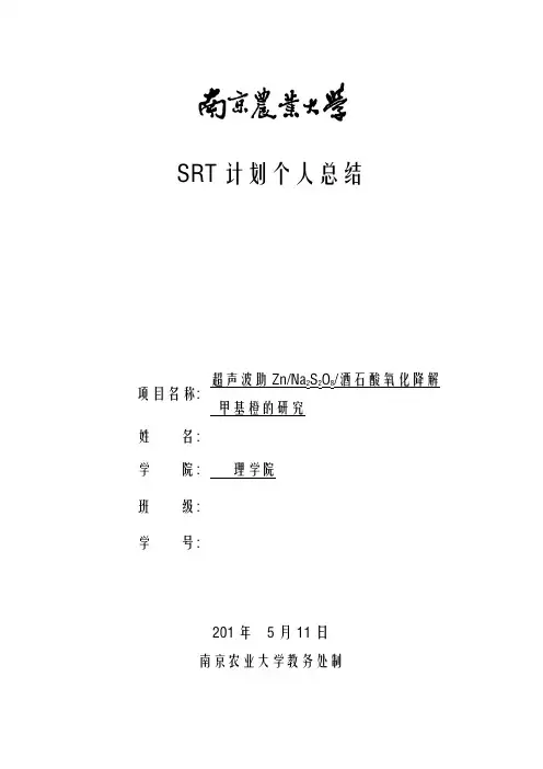 srt个人总结