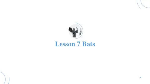 新概念4 Lesson 7 Bats 知识点