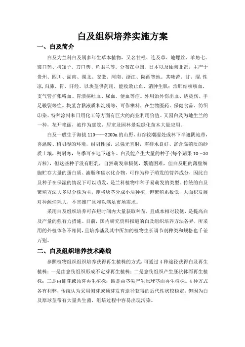 白芨组织培养实施方案