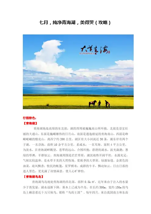 七月,纯净青海湖,美得哭(完全攻略)概要