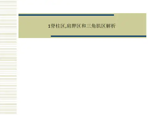 1脊柱区,肩胛区和三角肌区解析