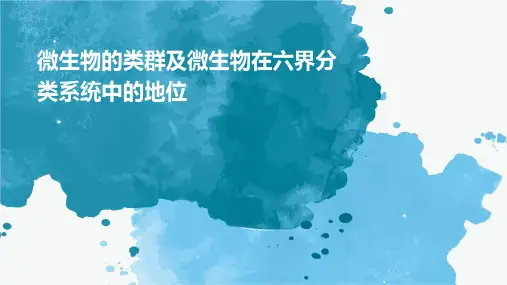 微生物的类群及微生物在六界分类系统中的地位