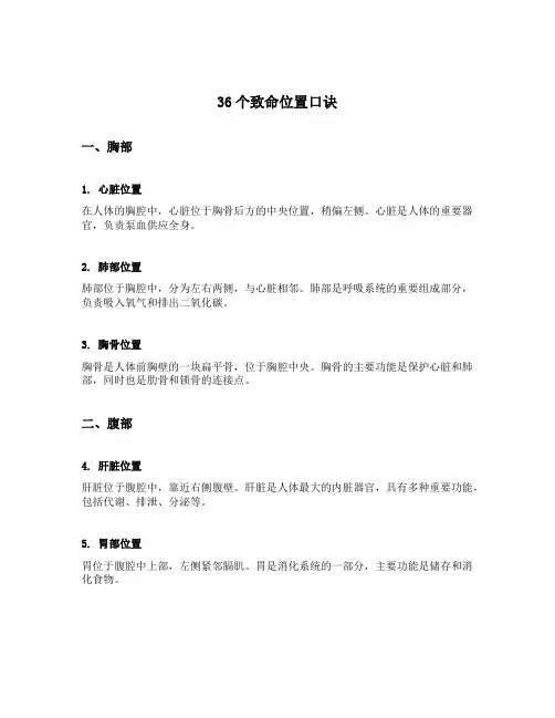 36个致命位置口诀