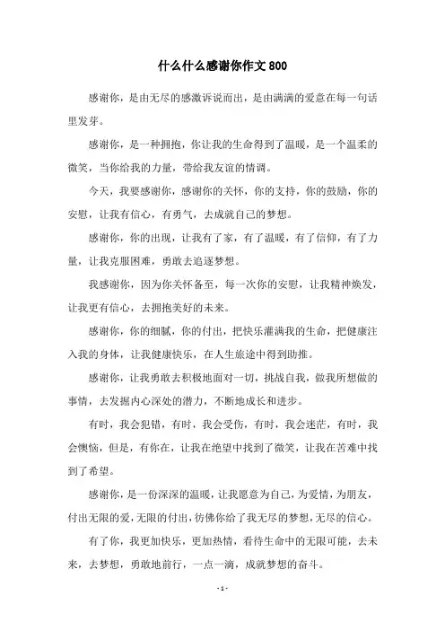 什么什么感谢你作文800