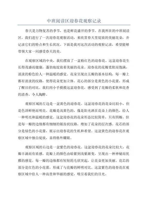 中班阅读区迎春花观察记录