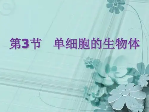 单细胞的生物体