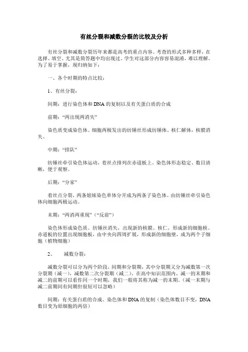 有丝分裂和减数分裂的比较及分析